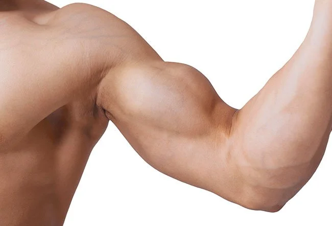 biceps